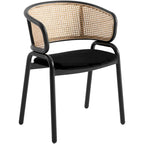 Chaise de salle à manger Ervilla moderne en osier avec accoudoirs et siège en velours rembourré pour salle à manger et cuisine, lot de 4 - 29,9